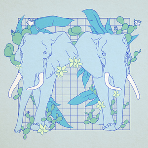 苍月奥特曼12集无删减播放
