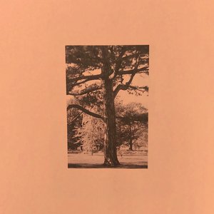 苍月奥特曼12集无删减播放
